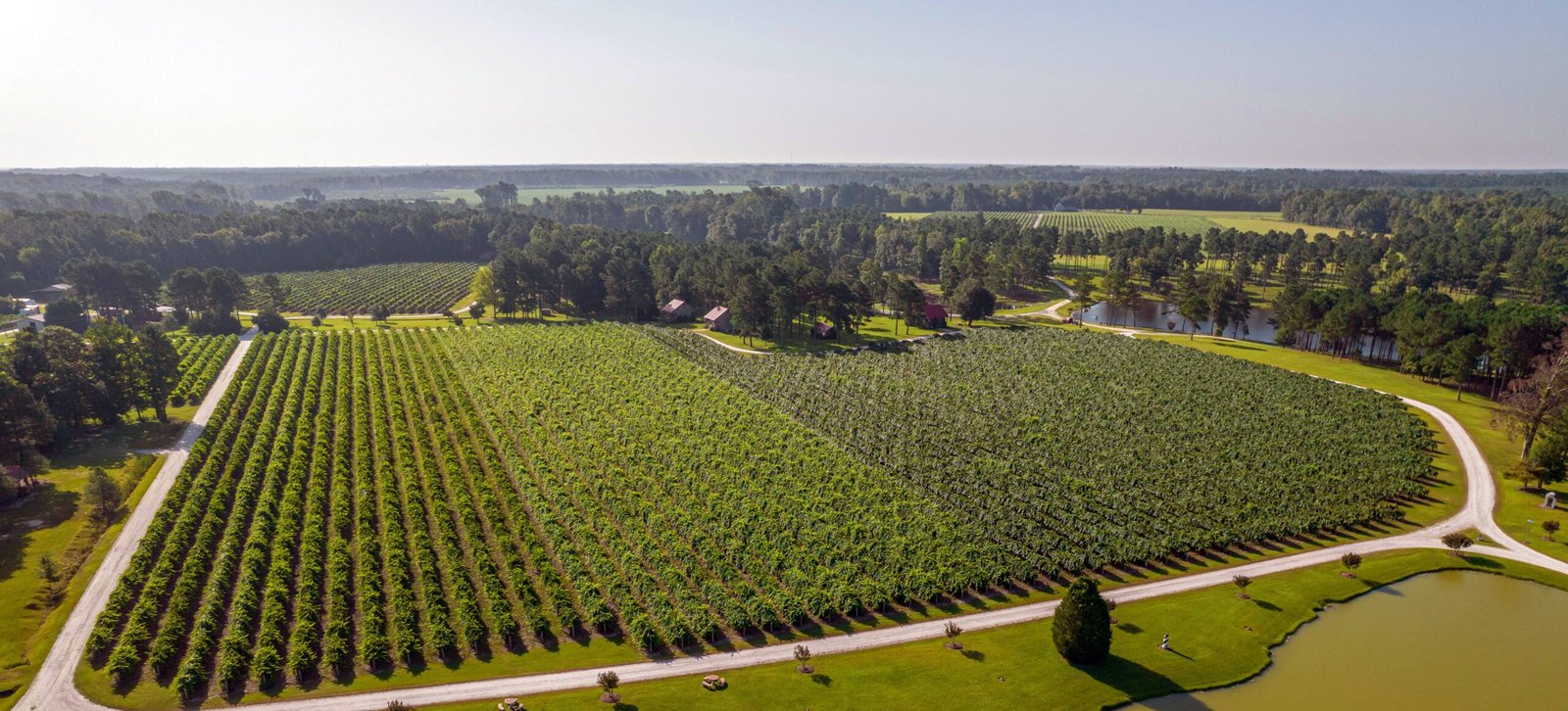 aerial photo of farm