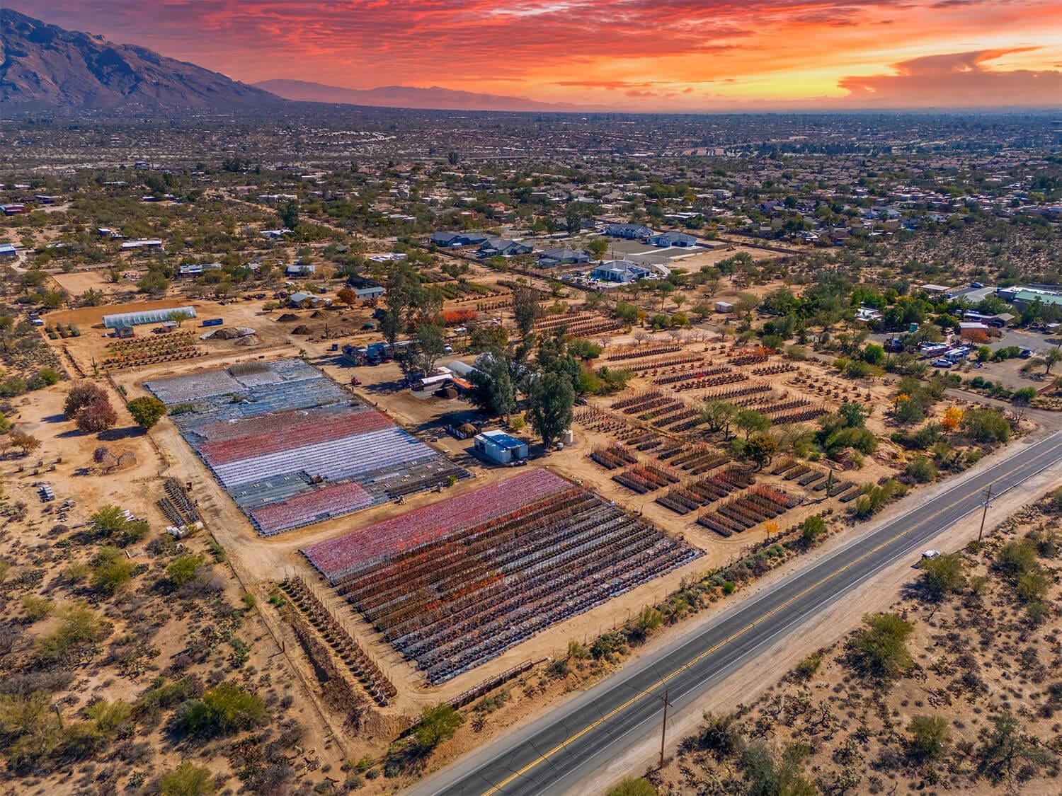 aerial photo of a plant nursery