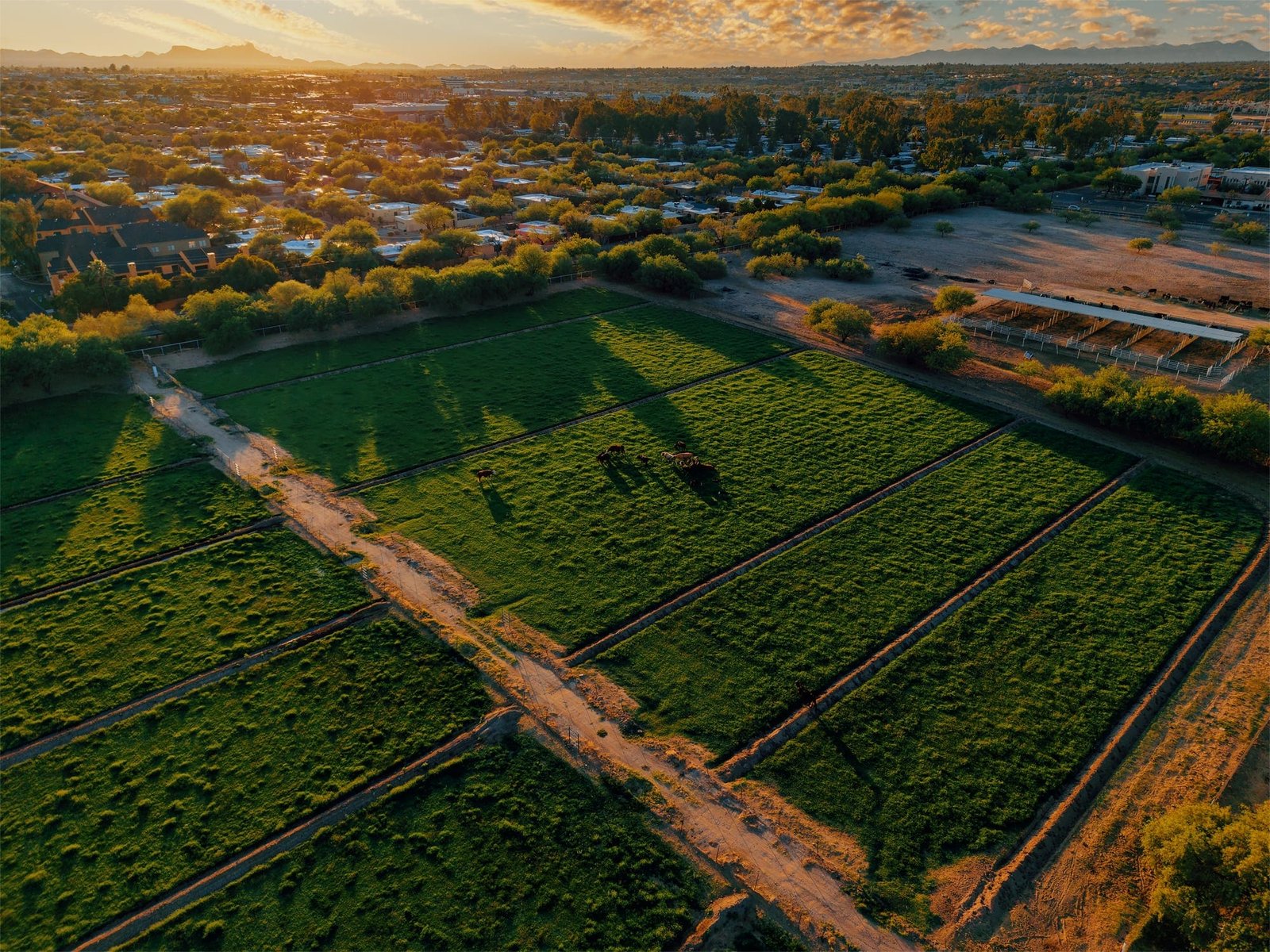 Arizona farm and ranch land