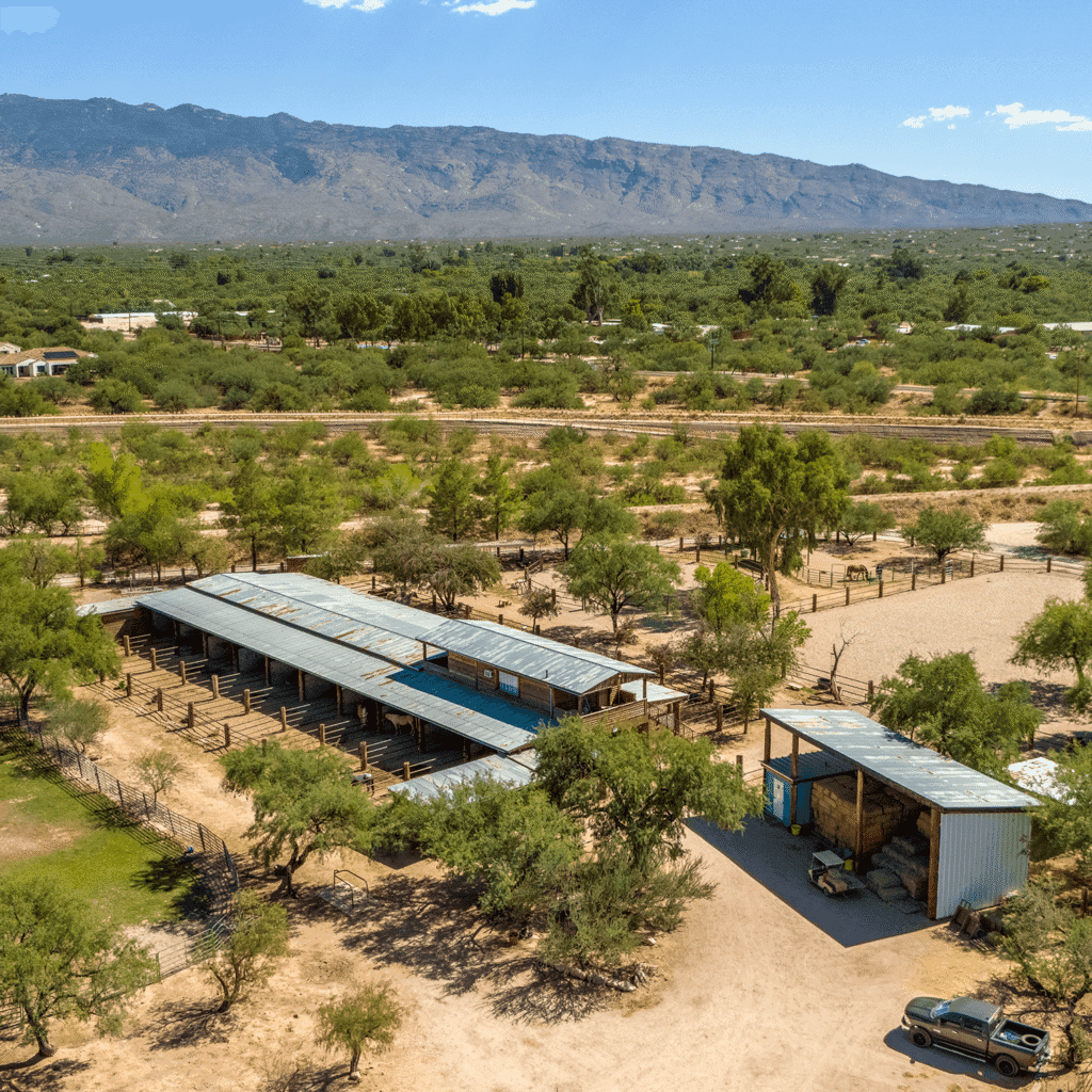 Heart of the Horse Ranch photography