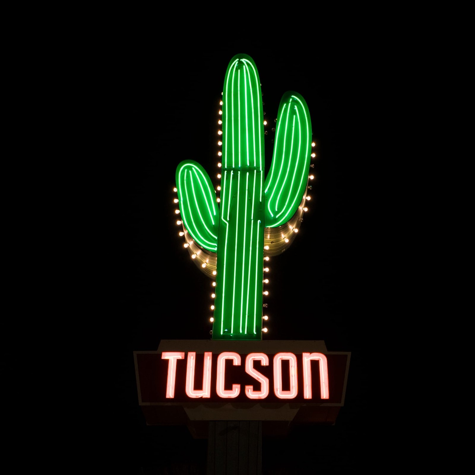 Tucson neon cactus sign at night