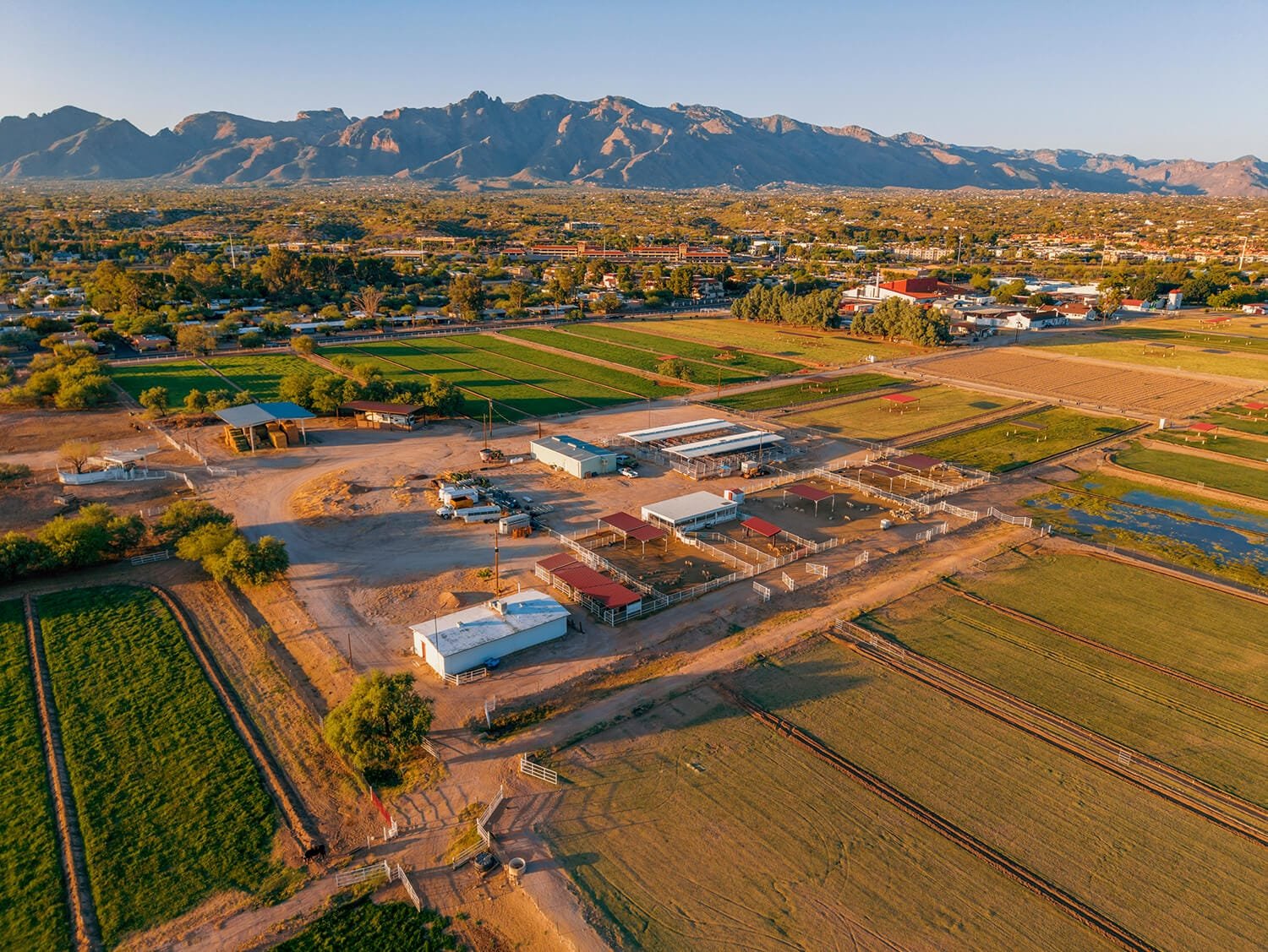 University of Arizona farm