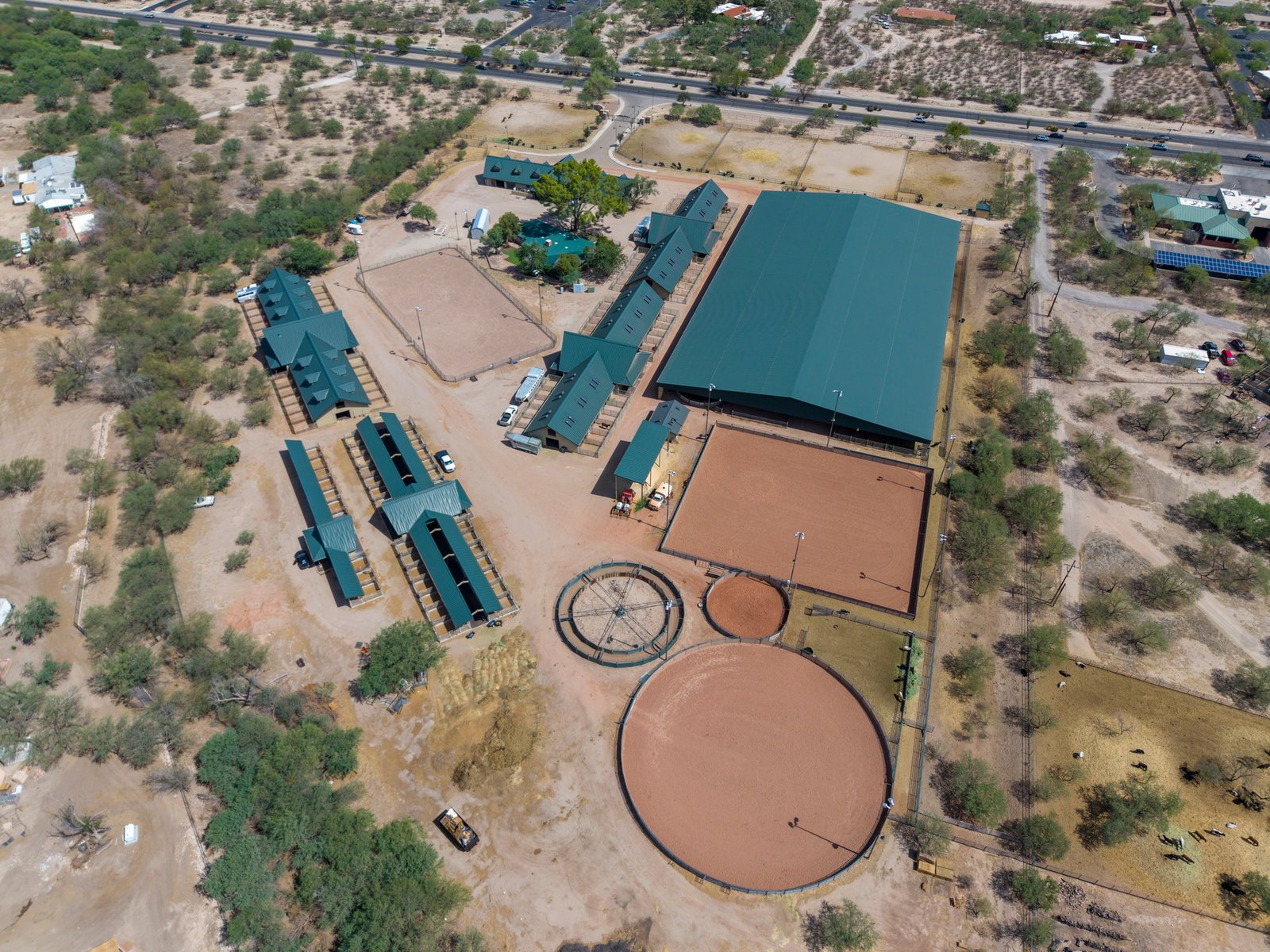 Tucson Arizona equine therapy center